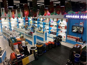 2018年赚钱商机 开汽车美容用品代理店与拓展保洁服务