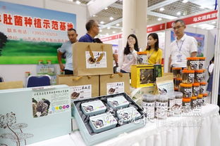 鱼台79家企业亮相省城，生态农产品与保洁服务双星闪耀